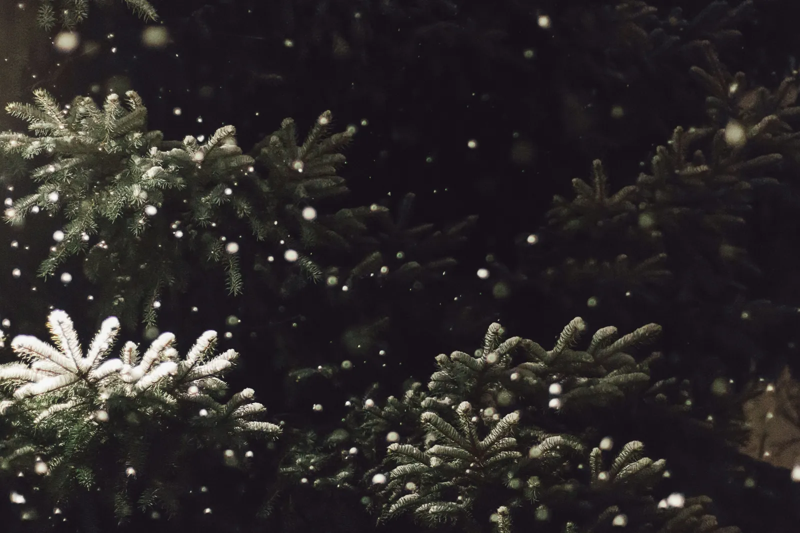 12 Days of ESG